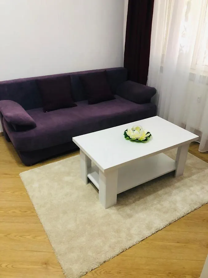 Apartmán Cozy Studio Romexpo Bukurešť 0*,